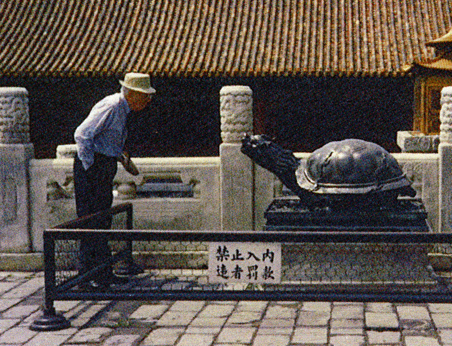 Talking with the Turtle